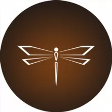 FPV ОВОД ❘ Тула