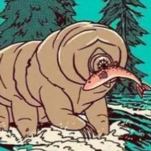 Биологические беруши