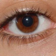 Цифровой геноцид