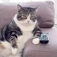 Одобрено Strannik'ом