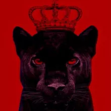 ВЗАИМНАЯ ПОДПИСКА | РЕАКЦИИ