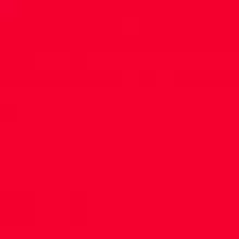 Просветление и котики