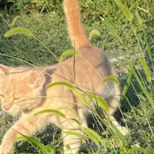 милые текста🫀 [ уголок любви ]