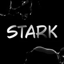 Stark Music 🎵