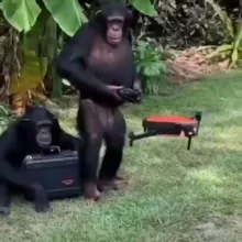 Дроны: инструкции