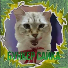 "Бункер сайка" промокоды на стенд чилов