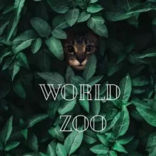 World ZOO 🐿