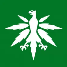 DHV - Hanfverband News