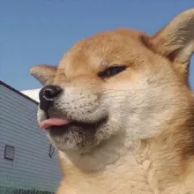 Супер скидки