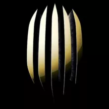 ФК РУХ ЛЬВІВ