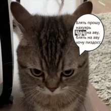 найден погиб