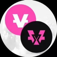 VidyCoin (VIDY & VIDYX)
