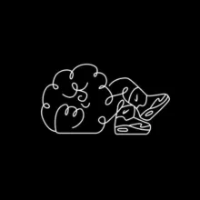 Кроссовки и мода «КИМ»