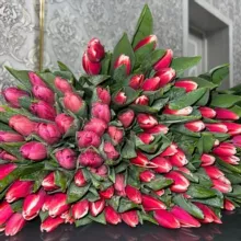 𝓜𝔂. 𝓢𝓸𝓾𝓵 🤍