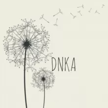 DNKA Гладик,опт