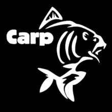 Carp
