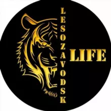 🟡 LESOZAVODSK LIFE