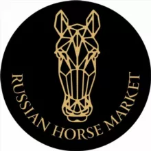 RUSSIAN HORSE MARKET® | ПРОДАЖА ЛОШАДЕЙ