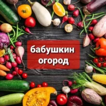 Бабушкин огород