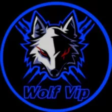 Wσʅϝ Vιρ Vρɳツ