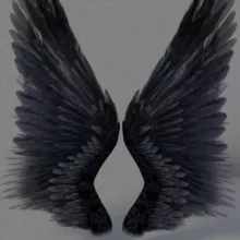 Амбициозные Крылья