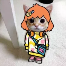 пфифф тося бося