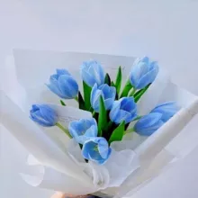 𝙎𝙤𝙣𝙜𝙨 𝙡𝙮𝙧𝙞𝙘𝙨