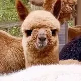 Красивые виды