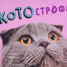 КОТОстрофа