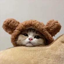 милый гороскоп