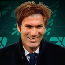 Парик Зидана