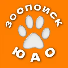 ЗоопоискЮАО | Потеряшки Питомцы ЮАО Москва Зябликово Орехово-Борисово Братеево Бирюлево Чертаново Царицыно Нагатино Нагатинский