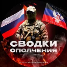 Сводки ополчения