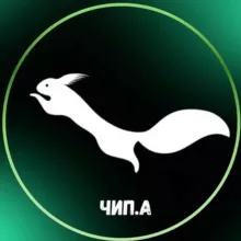 В поисках Гайки