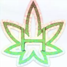 HempserviceTD