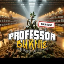 PROFESSOR BURNIE 31