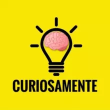 💡CURIOSAMENTE🧠