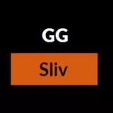 GG_Sliv❤️