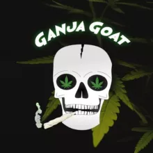 Ganja Goat