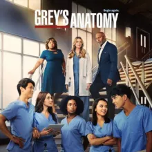 🇫🇷 GREY'S ANATOMY VF FRENCH SAISON 1 à 19 intégrale