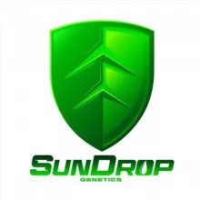 Sundrop genetics