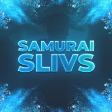 Samurai Slivs l Сливы курсов ЕГЭ 2022