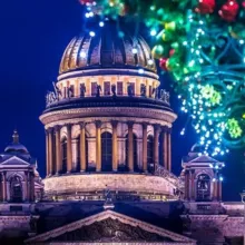 Питерский чат Питер СПб Роза Ветров