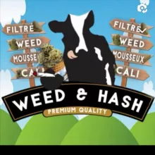 Weed&Hashcoffee