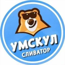 Сливы курсов УМСКУЛ