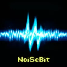 Noise Security Bit