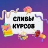 Сливы курсов