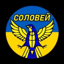 Соловей | Украина Новости