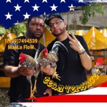 EDWIN VALERIO BM 220v⚡️ Casa De Los Dulce Sueno 521 y Versace Los Jabao que Pasan 220v⚡️🇩🇴🇵🇷🇺🇸🙏