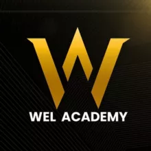 WEL ACADEMY